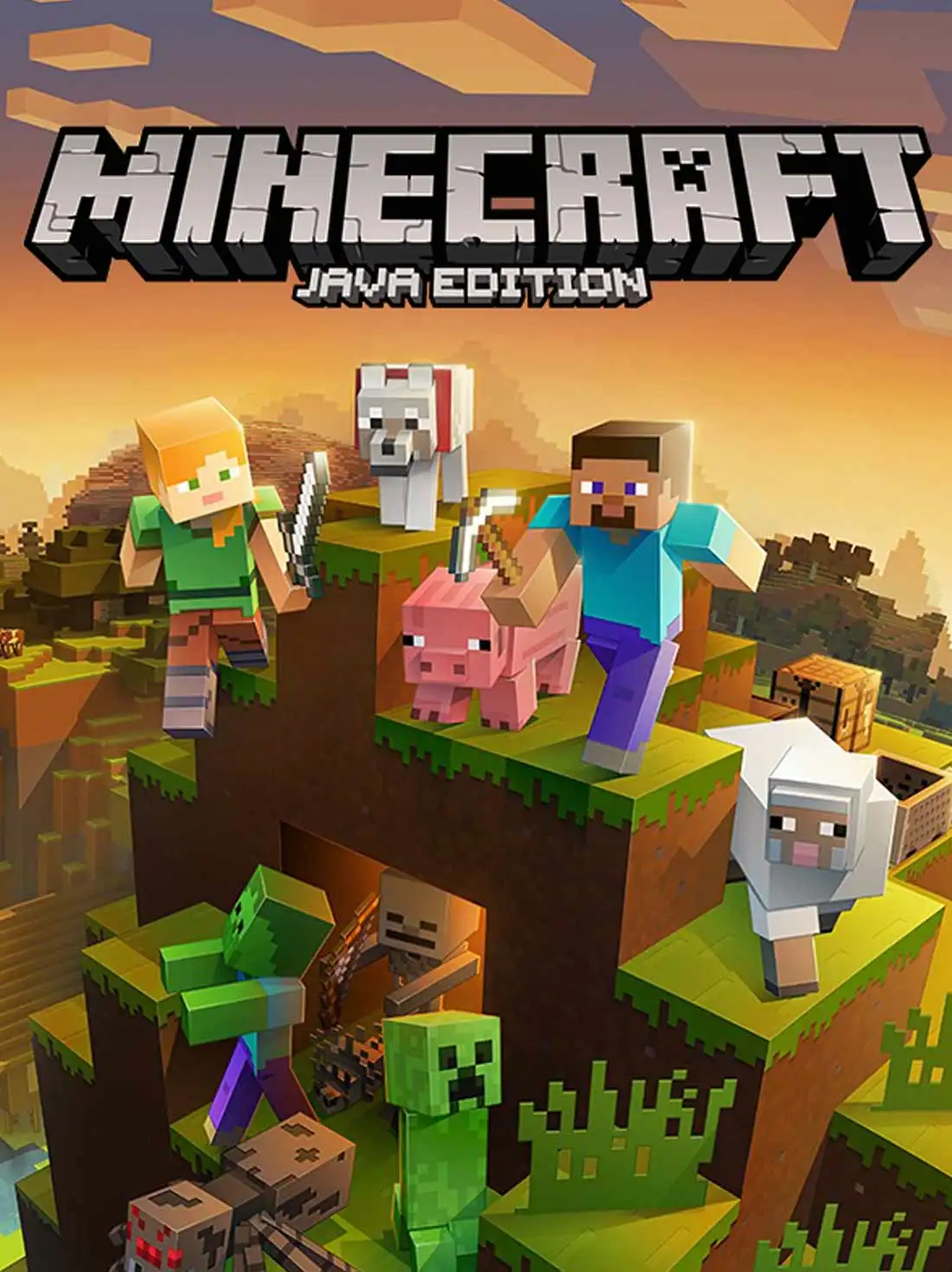 Minecraft Java